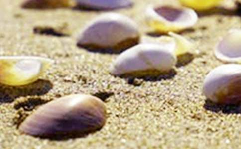 �����ı���Сѧ���ģ���ѡ4ƪ��