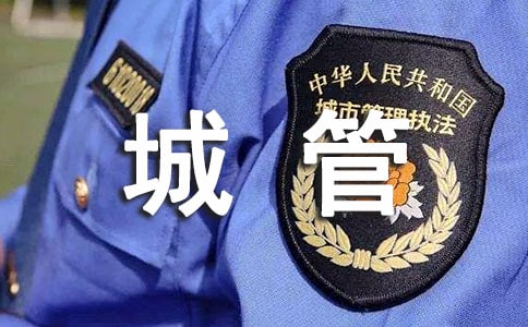 关于城管工作总结报告书