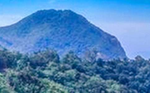 ����ԽԶ���Ĵ�ɽ�������