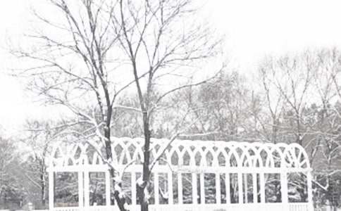 �����������꼶��������4ƪ