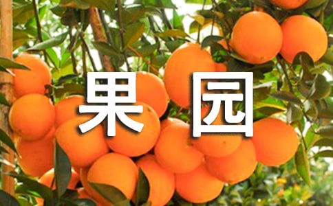 果园场承包协议书7篇
