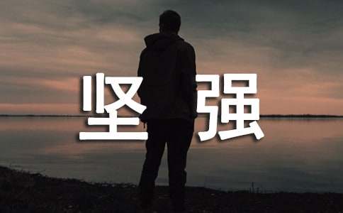 ��ǿ��С���ۺ��