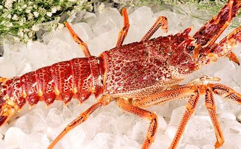 钓龙虾日记10篇