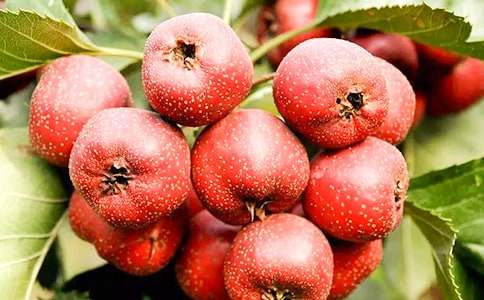 ��ɽ���֮���������8ƪ