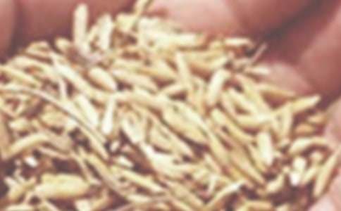 ����С������Э����3ƪ