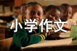 有关家小学作文