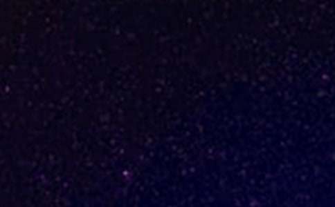 �ǿ��ռǹۺ��