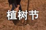 植树节演讲稿【热门】