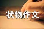 实用的初一状物作文集锦7篇
