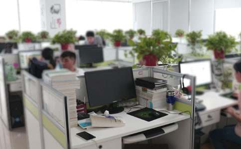 �칫�ҹ���ʵϰ��������ƪ