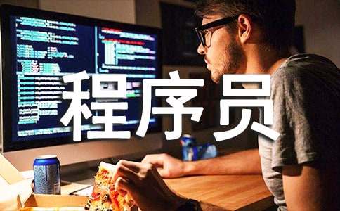 程序员试用期工作总结报告