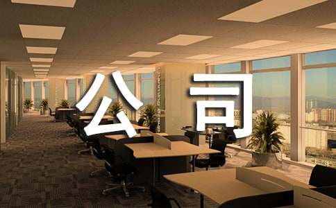 公司年度工作述职报告