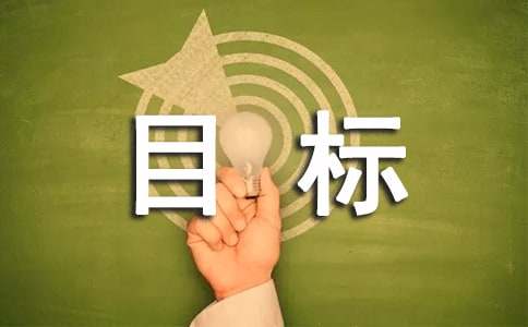 综合目标考核工作自查报告