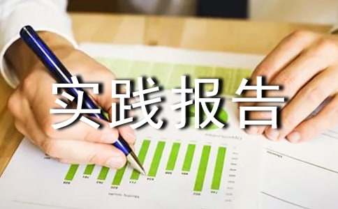 社会工作专业实践报告