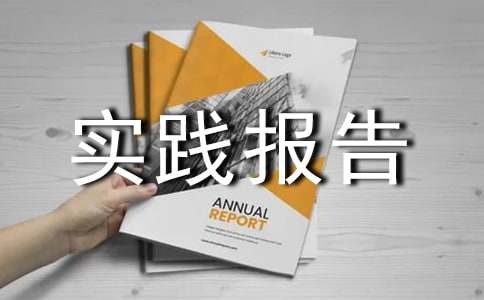 工作社会实践报告(精选4篇)