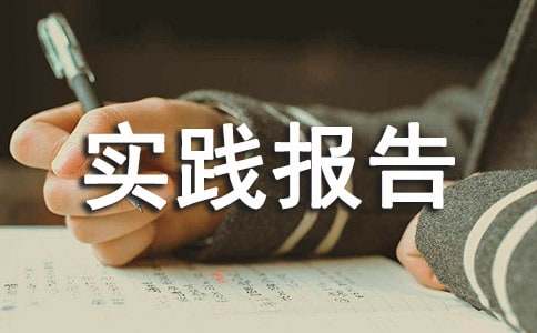 暑假工作社会实践报告精选15篇