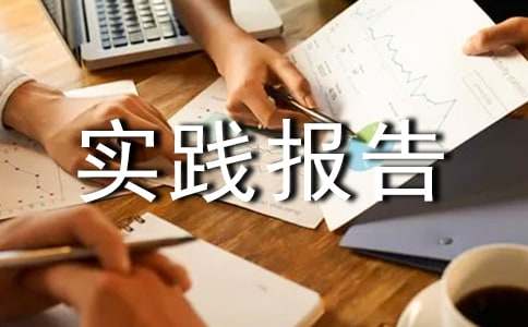 工作实践报告总结