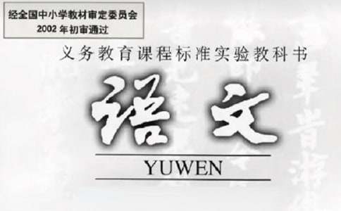 关于小学语文工作述职报告4篇