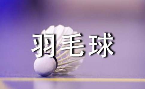 羽毛球协会工作计划13篇