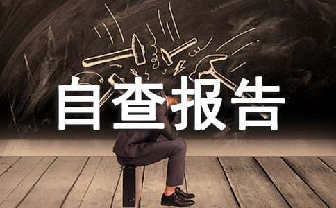���˹���������Բ鱨��