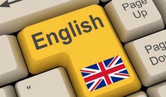 英语翻译工作实习报告